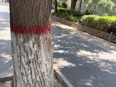 -清真·胖妈妈手抓餐厅(定西路长城宾馆店)