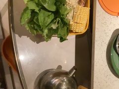 -润园四季椰子鸡火锅(海上世界店)