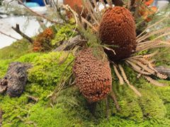 -田园·晶品会(鹤庆路店)