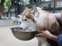 -TrueLove @ Neverland (Husky Cafe)