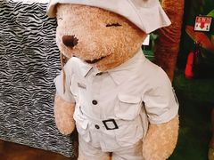 -济州岛泰迪熊博物馆