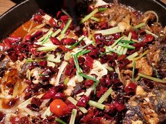 -老板恋上鱼(印象城店)