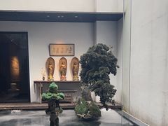 -觀芷隐轩