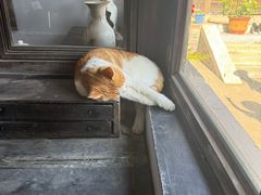 -鸡鸣驿城