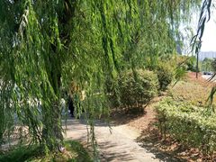 -江西科技学院