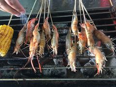 -会江钓鱼钓虾烧烤场