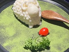 -蒙料·手把肉(望京店)