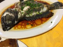 -老字号蛇口德记烧腊饭店·海鲜加工