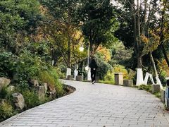 -峙山公园