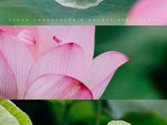 -东钱湖旅游度假区