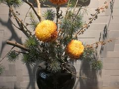 -曲水兰亭(北京四惠店)