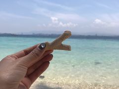 -东姑阿都拉曼海洋公园
