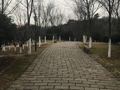 -伯先公园