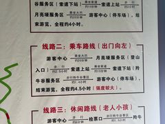 -牛背梁国家森林公园