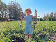 -前小桔亲子创意农场·草莓采摘·露营烧烤