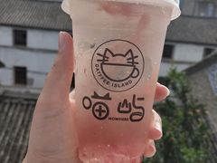 -喵屿·大理花园猫咖