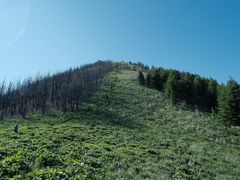 -灵山
