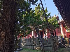 -孔氏南宗家庙