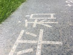 -和平宫