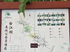 -广州白江湖森林公园