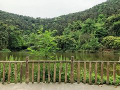 -楠柏弯休闲山庄(梨花溪店)