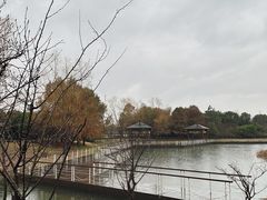 -同里国家湿地公园