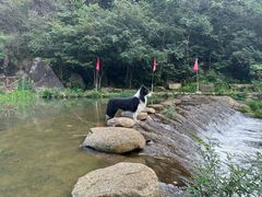 -武汉姚家山旅游景区