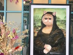 -喵屿·大理花园猫咖