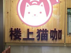 -楼上猫咖(罗湖店)