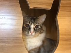 -白兔子密室(长寿路店)