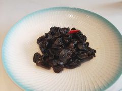 开胃黄山云耳-同庆楼(大钟寺店)