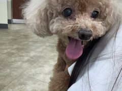 -美联众合动物医院·24h转诊中心