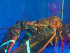 -月福京味斋·烤鸭店·北京菜(鼓楼总店)