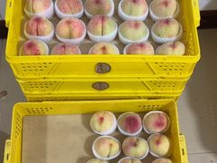 -老袁家蜜桃农场·阳山水蜜桃