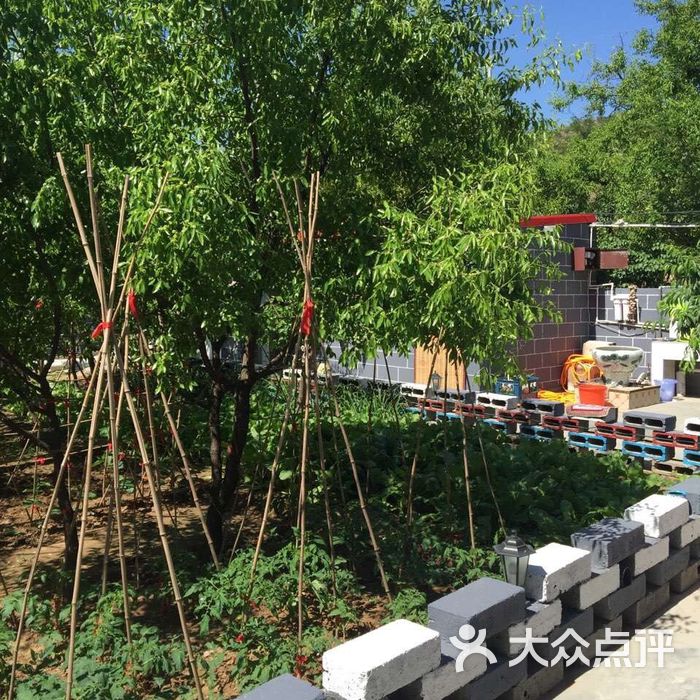石门村野小院图片-北京旅游其他-大众点评网