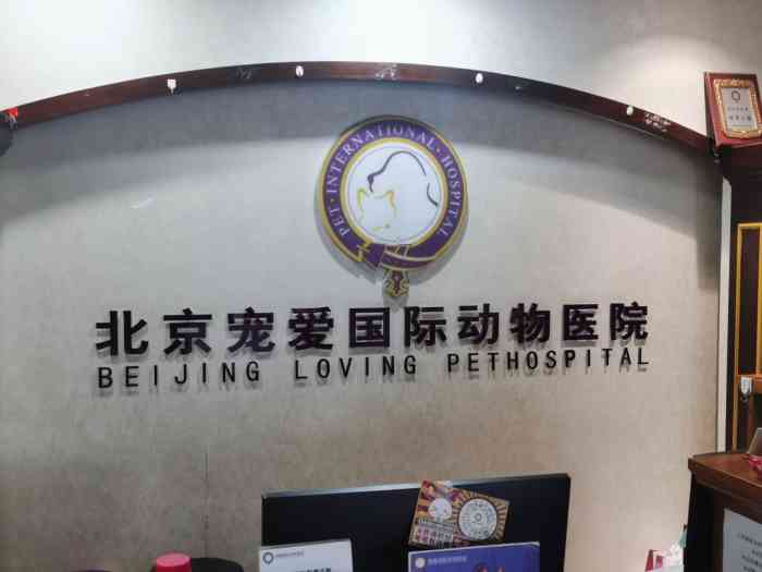 宠爱国际动物医院(林肯公园店)-"【项目】绝育给猫咪做了绝育,医生