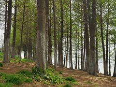 -滆湖低碳生态公园