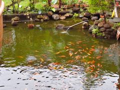 -年辉渔村·非遗传承餐厅(新丰江店)