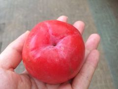 -广东财经大学(广州校区)