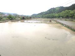 -韶山毛泽东同志故居