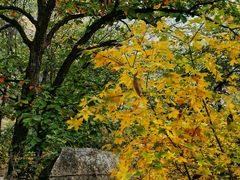 -天津盘山风景名胜区