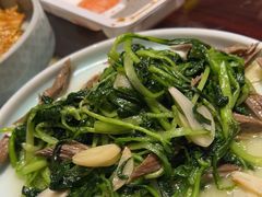 -情满四合院•京菜•烤鸭(动物园店)