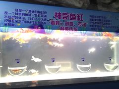 -泉城欧乐堡海洋极地世界