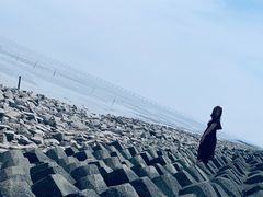 -南汇嘴观海公园