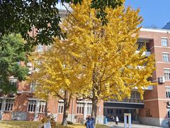 -四川大学(望江校区)