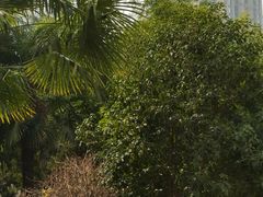 -曲江惠宾苑宾馆(大雁塔大唐不夜城店)