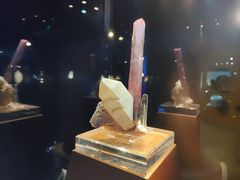 -中国地质大学逸夫博物馆