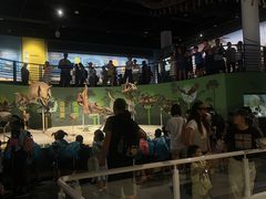 -国家自然博物馆