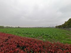 -嘉北郊野公园