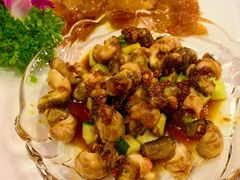 海蜇拼蜜螺-文儒九号·闽菜馆(三坊七巷店)